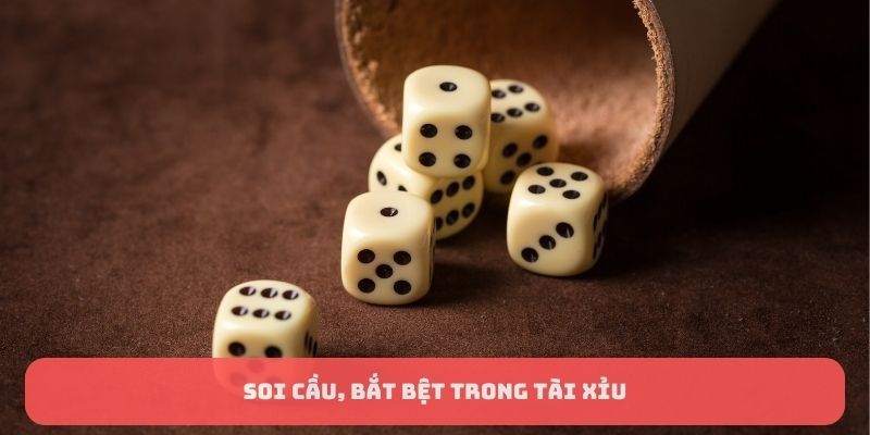 Soi cầu, bắt bệt trong tài xỉu